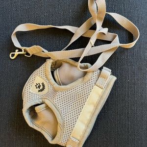 Grey dog harness with matching leash- small